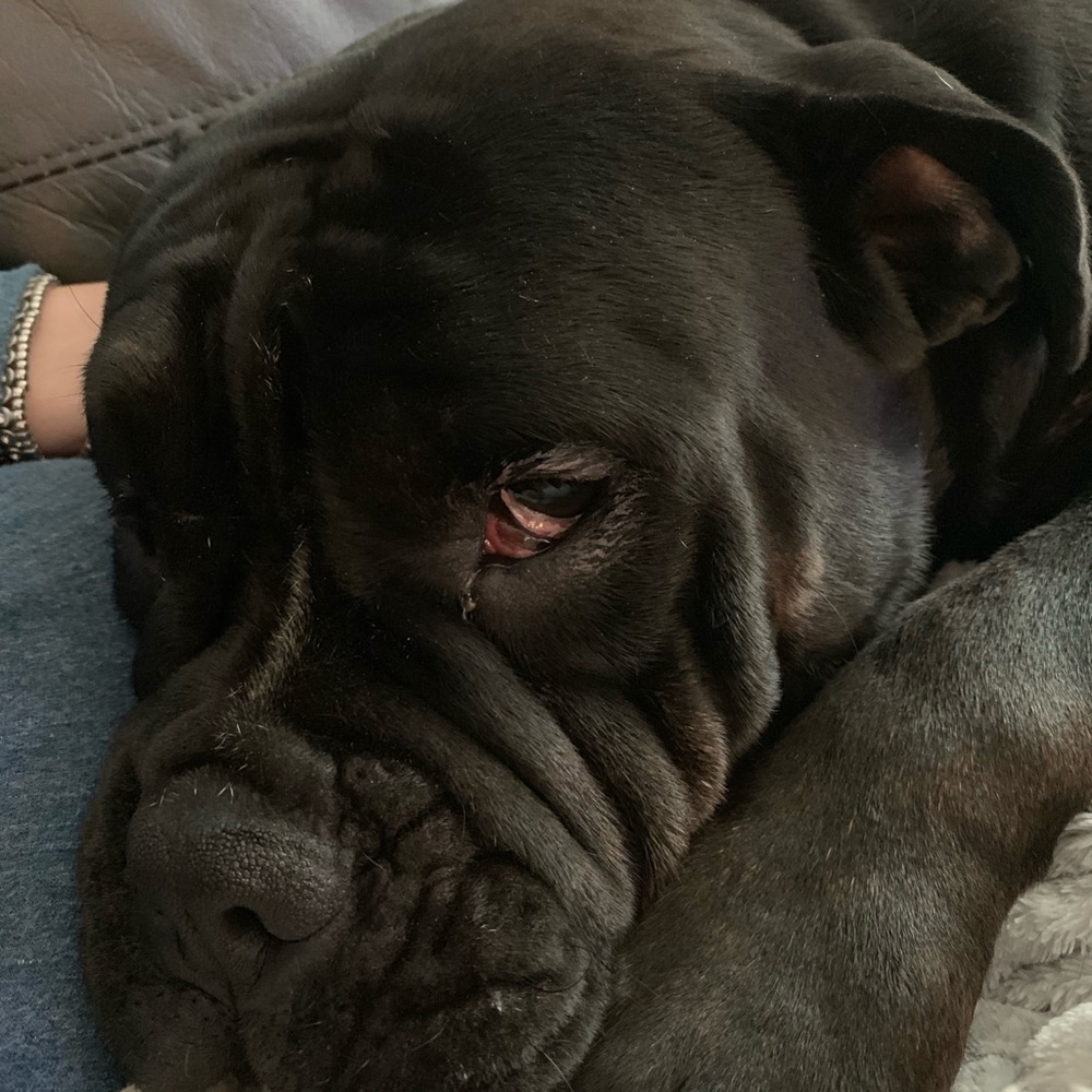 Meet your Posher, Joye